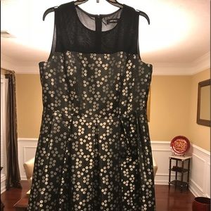 NWOT Fit and Flare polka dot dress!